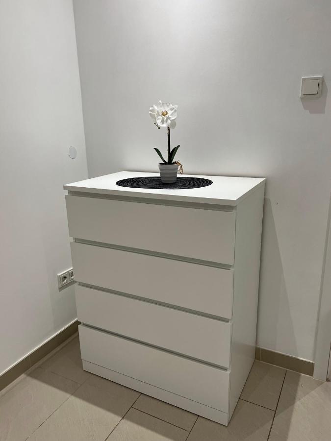 Apartment L1